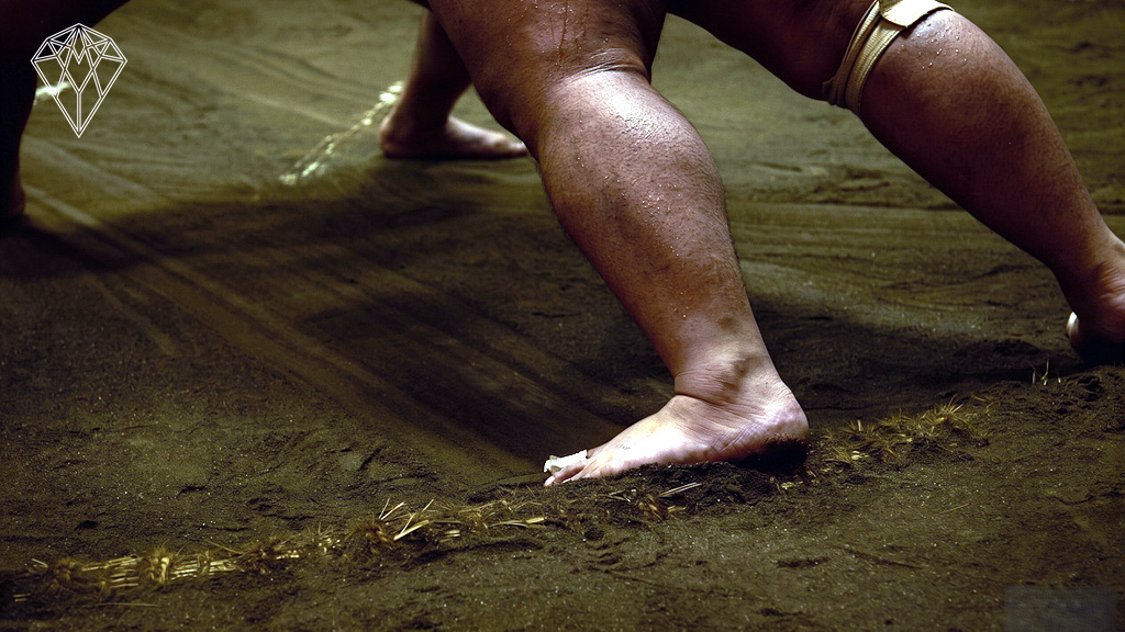 Sumo Experience 5